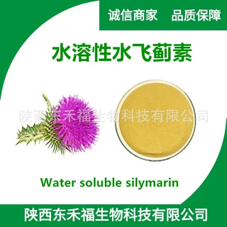 水飞蓟素40% 水飞蓟提取物 Silymarin 水溶性水飞蓟素1kg  现货