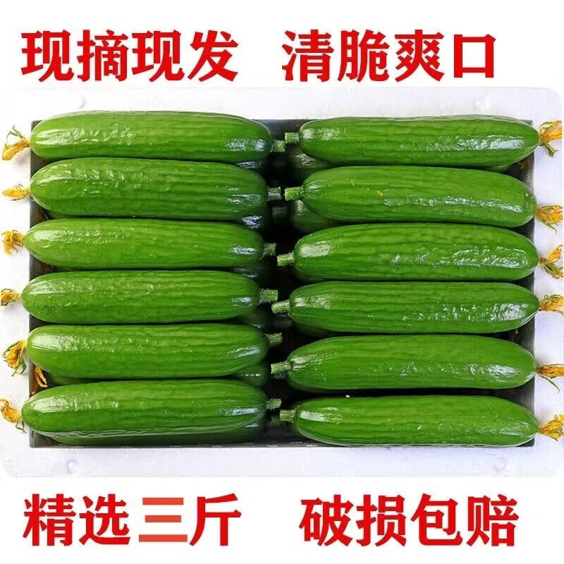 Shouguang Vegetables, Fruits, Cucumbers, Raw, Crispy and Fresh 2.5kg Cucumbers, Dutch Seasonal Thornless Cucumbers, Now Picked, Free Shipping Shouguang Vegetables, Fruits, Cucumbers, Raw, Crispy and Fresh 2.5kg Cucumbers, Dutch Seasonal Thornless Cucumbers, Now Picked, Free Shipping