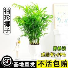 ����Ҭ�ӾGֲ�҃����Կ͏d�̨�^�~ֲ���ļ����G���B�׻�����՚�