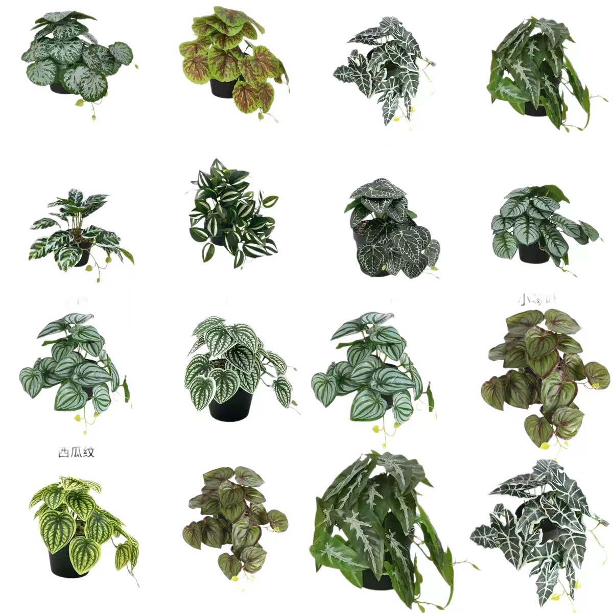 森系造景小把束垂挂盆栽仿真绿植眼眉垂条盆栽矾根龟背叶假花盆景