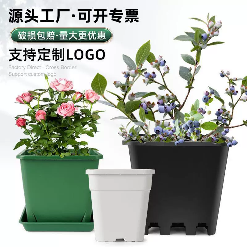黑色月季蓝莓花盆加厚青山加仑方盆塑料方型控根盆白色正方形花盆