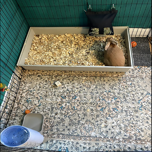 Amazon Pet Hay Bag Rabbit Hay Feeding Bag, Hanging Feeding Bag, Guinea Pig Chinchilla Hay Bag