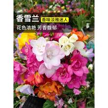 MذѩmNСnm̨҃ԝͻܶ༾_N