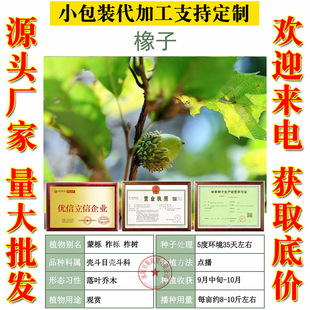 �²����N�ӱ����t���N�� �����t��N�� ���N ��������ʳ��