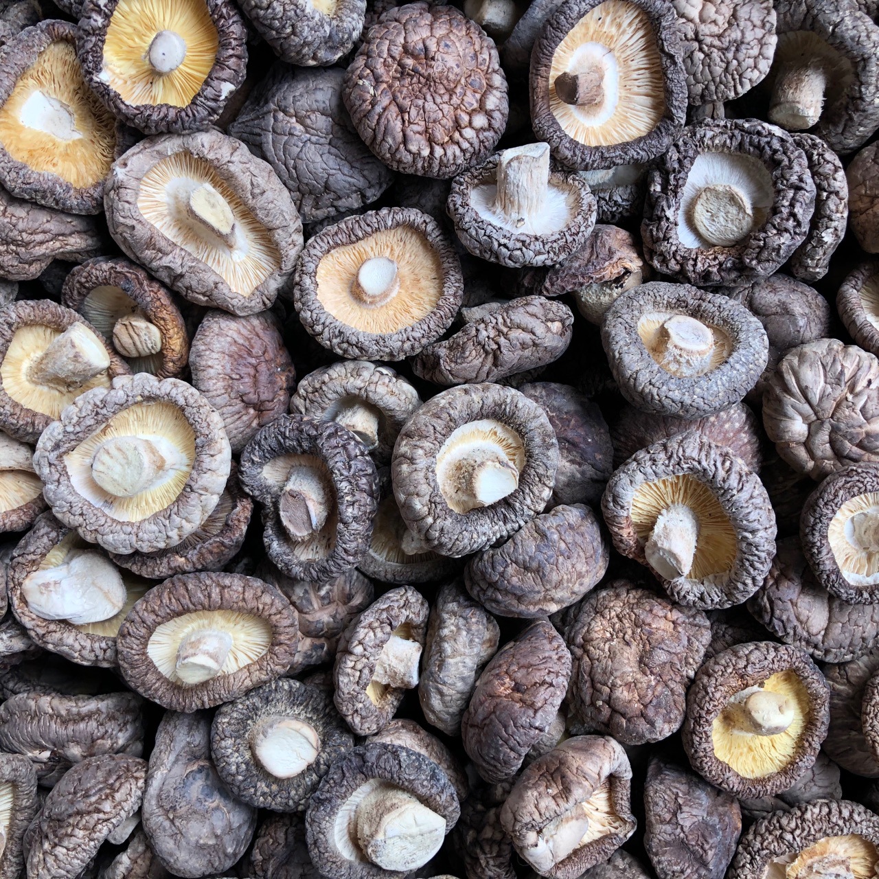 西峡香菇干货冬菇金钱菇肉厚蘑菇500g食用菌农产品原产地直供批发