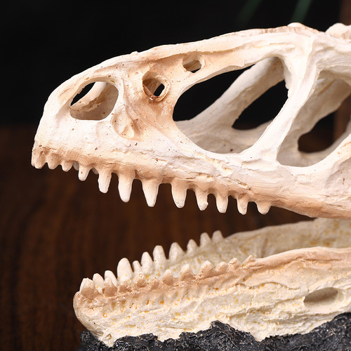 Fish tank landscape Tyrannosaurus Rex resin figurine realistic skeleton bones fish shrimp hiding house aquarium decoration fossil