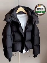 qqŮ̿2025¿n挒ɴaСӼӺ