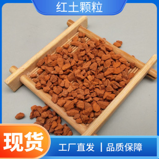 �S�����l�t���w�����ӱ���ɰ�t��ɰɳ�W����üt���w������ă�