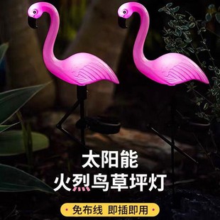 �����B̫��ܲ�ƺ��������ز�������ˮ˽�һ��@ͥԺ�[�����^��