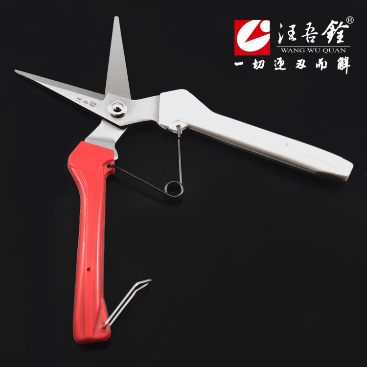 汪吾铨园林剪刀修剪树枝果树园艺工具花园多功能不锈钢花艺剪批发