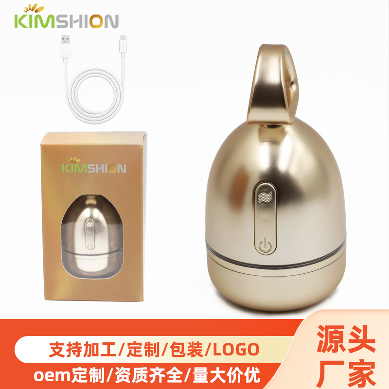 Cross-Border Beauty Device Ems Micro-Current Facial Massager Beauty Instrument Lifting Vibration Facial Essence Introduction Device