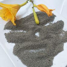 厂家供应漂珠高硬度保温冒口体育建材耐火材料填充石英砂用轻质