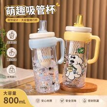 高颜值萌趣吸管杯 大容量800ml双饮随行杯 2026新款夏季学生水壶