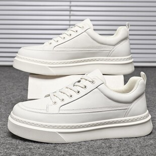 2026�¿��^��ţƤС��Ь���e�̄��\�Ӱ�Ь�ٴ���������ʿ�r�І�