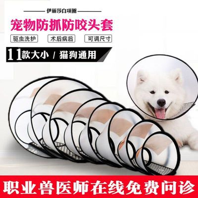 Elizabeth Dogs Socket chokers  Hamsters rabbit Operation Dogs