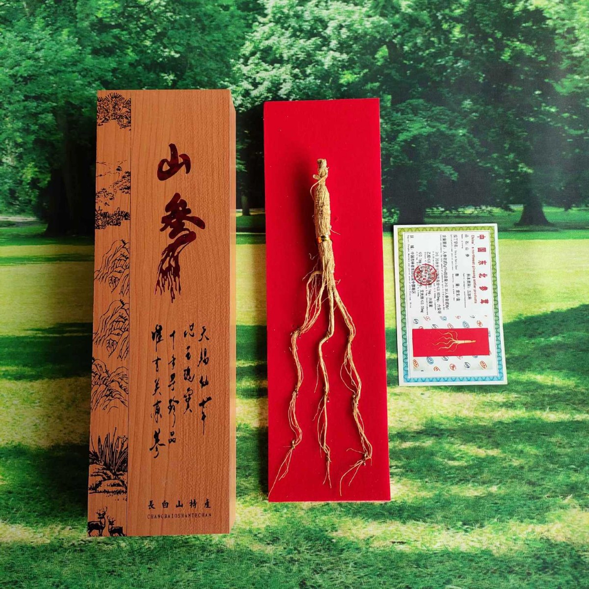 山参礼盒批发产地直销人参随手礼 供应批发长白山山参礼盒