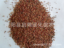 ʳ�����ʹ��ݮ�N���ӷNֲ�҃��̨����ˮ����@�߲˲�ݮ�N��