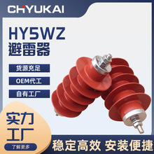 廠家直供10KV高壓避雷器HY5WZ櫃內線路型氧化鋅支柱避雷器