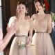 Bridesmaid Dress 2024 spring new niche slimming sisters group chorus temperament plus size senior performance dress