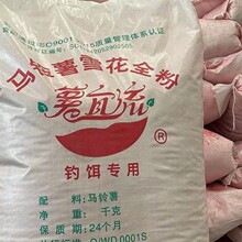 �R���ѩ����20ǧ����~�a�����I��B�ڿ�Ұឰ�ɫ�tɫ���~