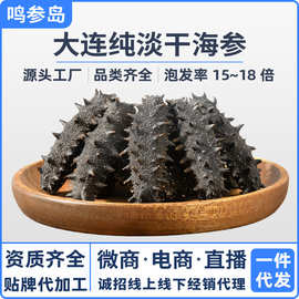 大连纯淡干海参干货批发深海底播辽刺参散装海鲜水产干货礼盒商用