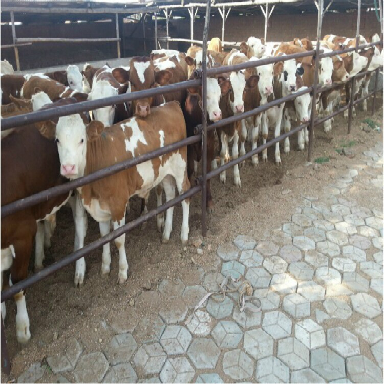 QQ图片20150306214248 - 万能看图王_mei