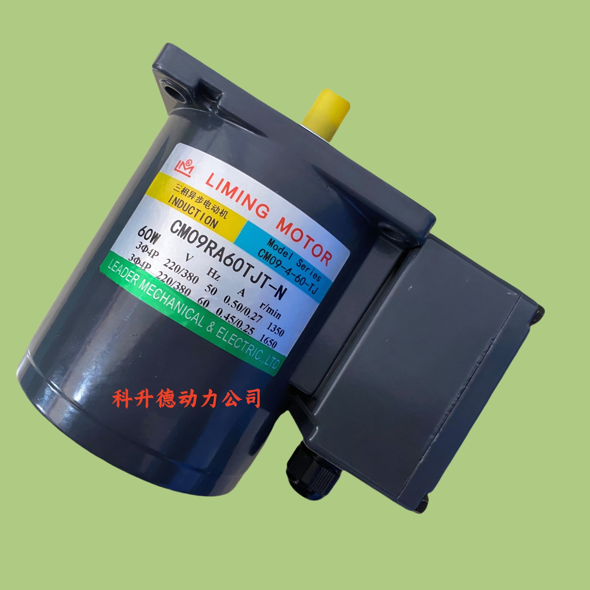 CM09RA60TJT-N CM09-4-60-TJ LIMING MOTOR电机利明 LM马达利茗