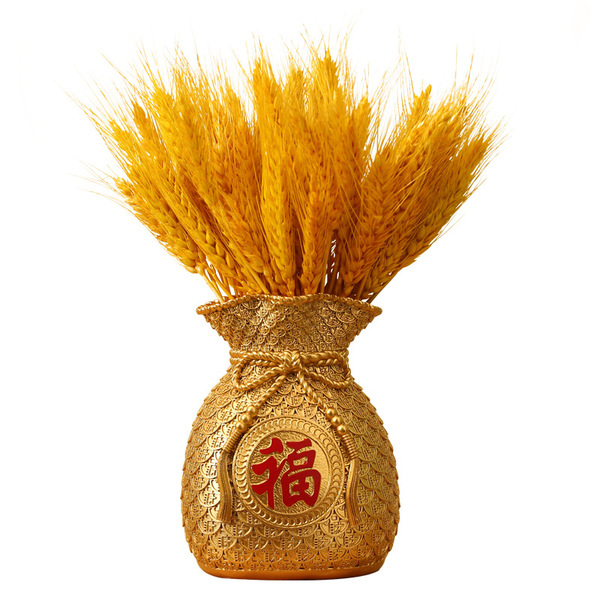 Fortune Fubuku Mai Suo Dry Flower Living Room Decoration Porch Wine…