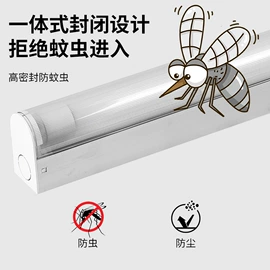 防爆灯;吸顶灯;支架