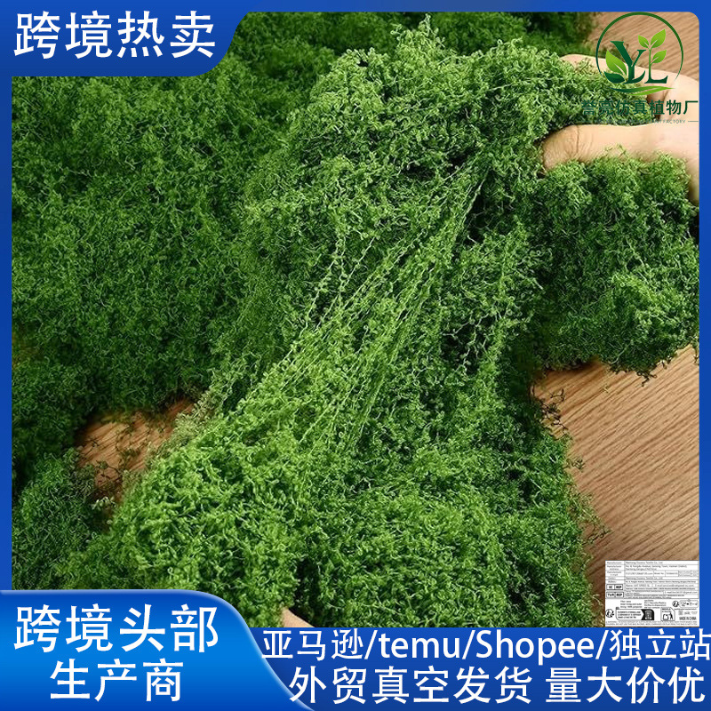 跨境temu仿真苔藓草皮造景绿植微景观桌面盆栽仿生苔藓丝状假青苔
