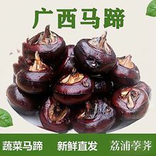 �����R��V���خa�ԷNݩ�j�����F��ˮ�������֭�����߲ˑ���ˮ��