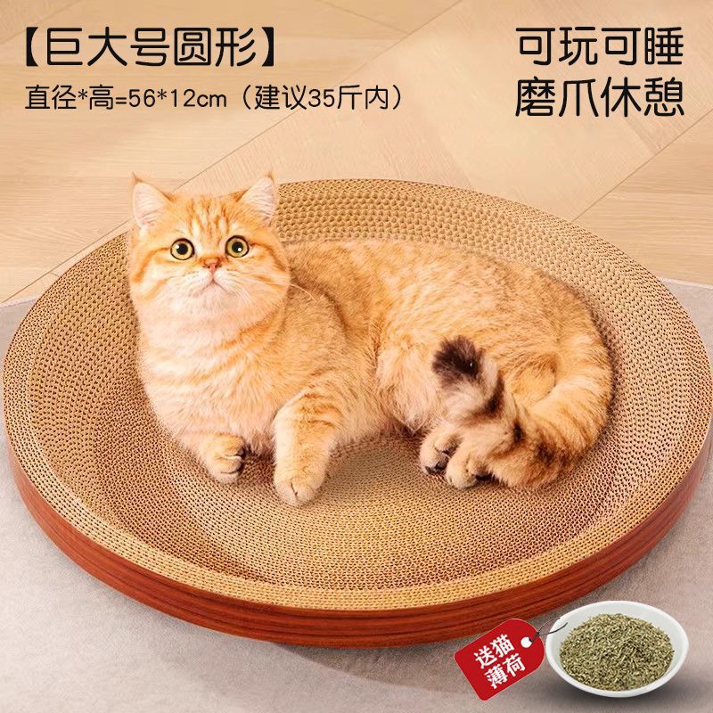 楕円形の猫の猫の巣の一体の耐摩耗性があります。|undefined