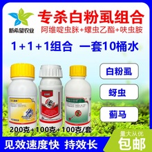 ׷ʭÚxЧһ ǰ׷ʭERxxrș