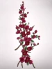 3*Large Rose Red