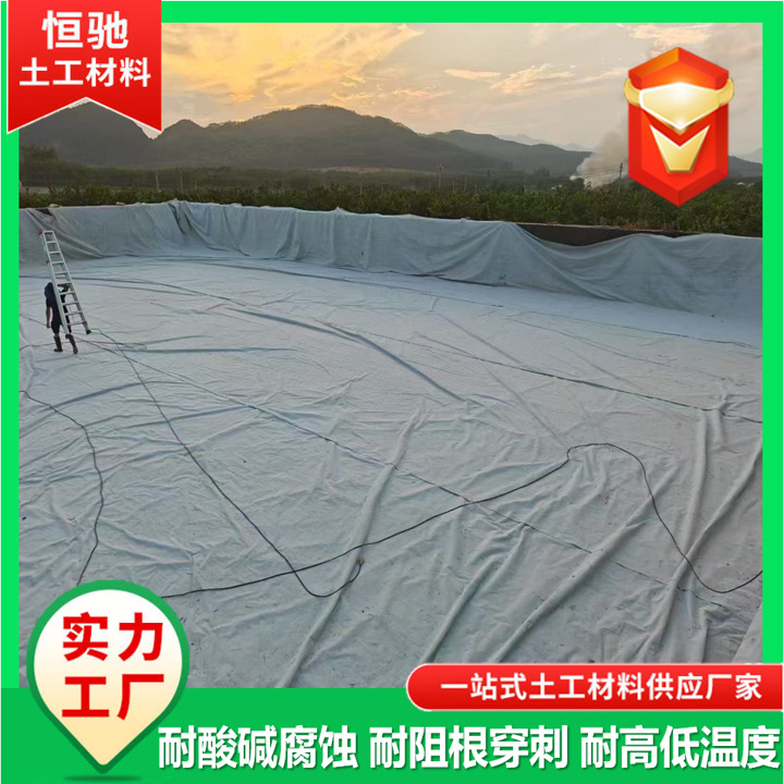 复合土工膜防渗膜聚乙烯工程专用鱼塘沼气池藕池养殖垃圾填埋场
