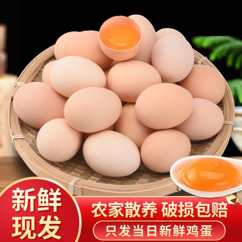 【生鲜快递不支持拒收】土鸡蛋新鲜农家散养鸡蛋批发新鲜特价鸡蛋