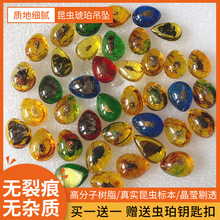 �������x�˱��机����������xС�W�n���̌W�з���x��ͯ���Ք[��