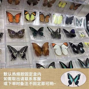 ������˱����x��Ʒ͸��������[�����ՔzӰ���նY��̌W��Ʒ