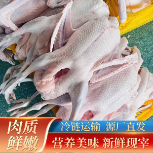 �r��ɢ�B���r���Z�F���Z��������r�����Z�Ƶ깩��ʳ������\ݔ