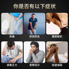 Prostate Health Patch Pure Chinese Herbal Plaster Patch Kidney-Boosting Patch Male Frequent Urination, Urgency, and Pain Acupoint Plaster Patch for OEM