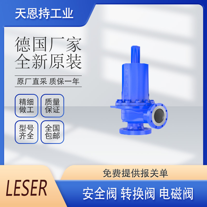 德国原厂 leser 4884.8872  阀 安全阀 质量保证 货期短