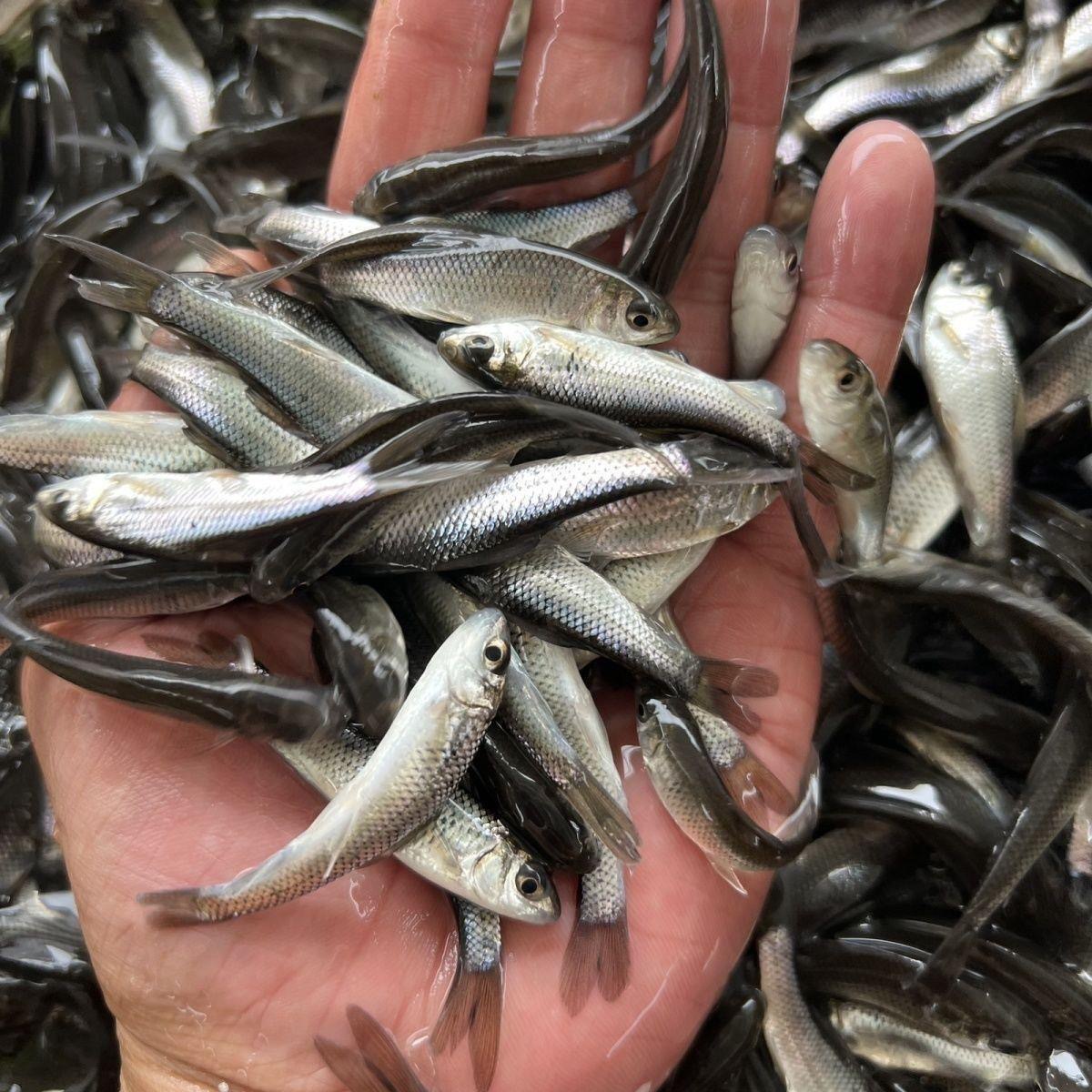 微信图片_20250620092451