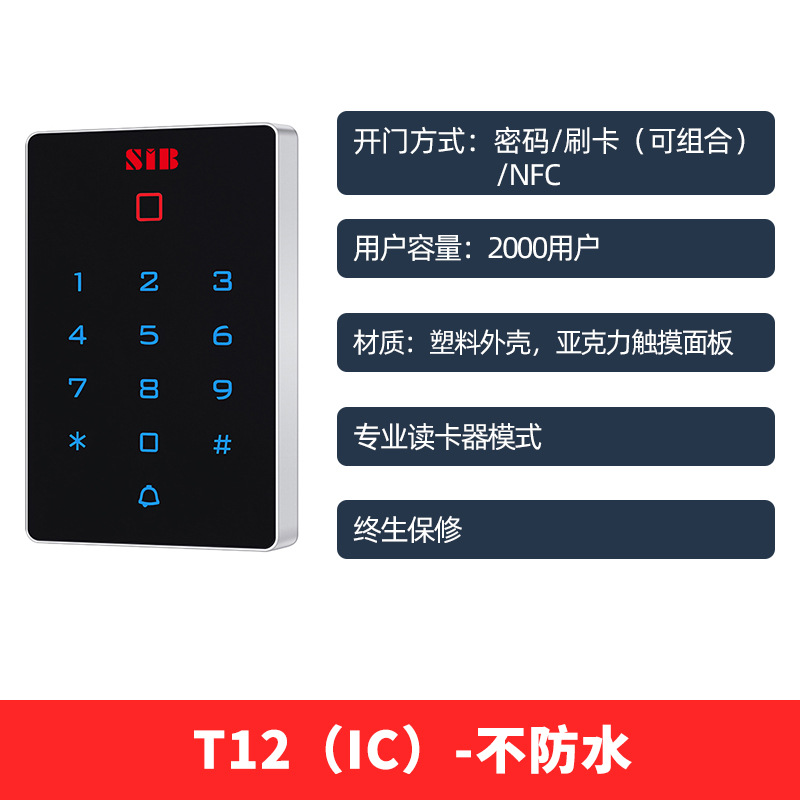 T12 IC
