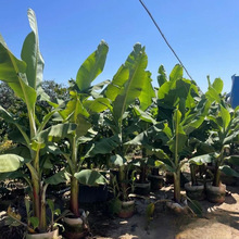 ���Գ��� �Ž����� �ɻ��ʱ��C���~ֱ�l �Ž����·���^ֲ��