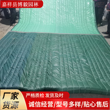 公路桥梁集团G228丹东线丁字湾大桥科学维护工程顺畅竣工