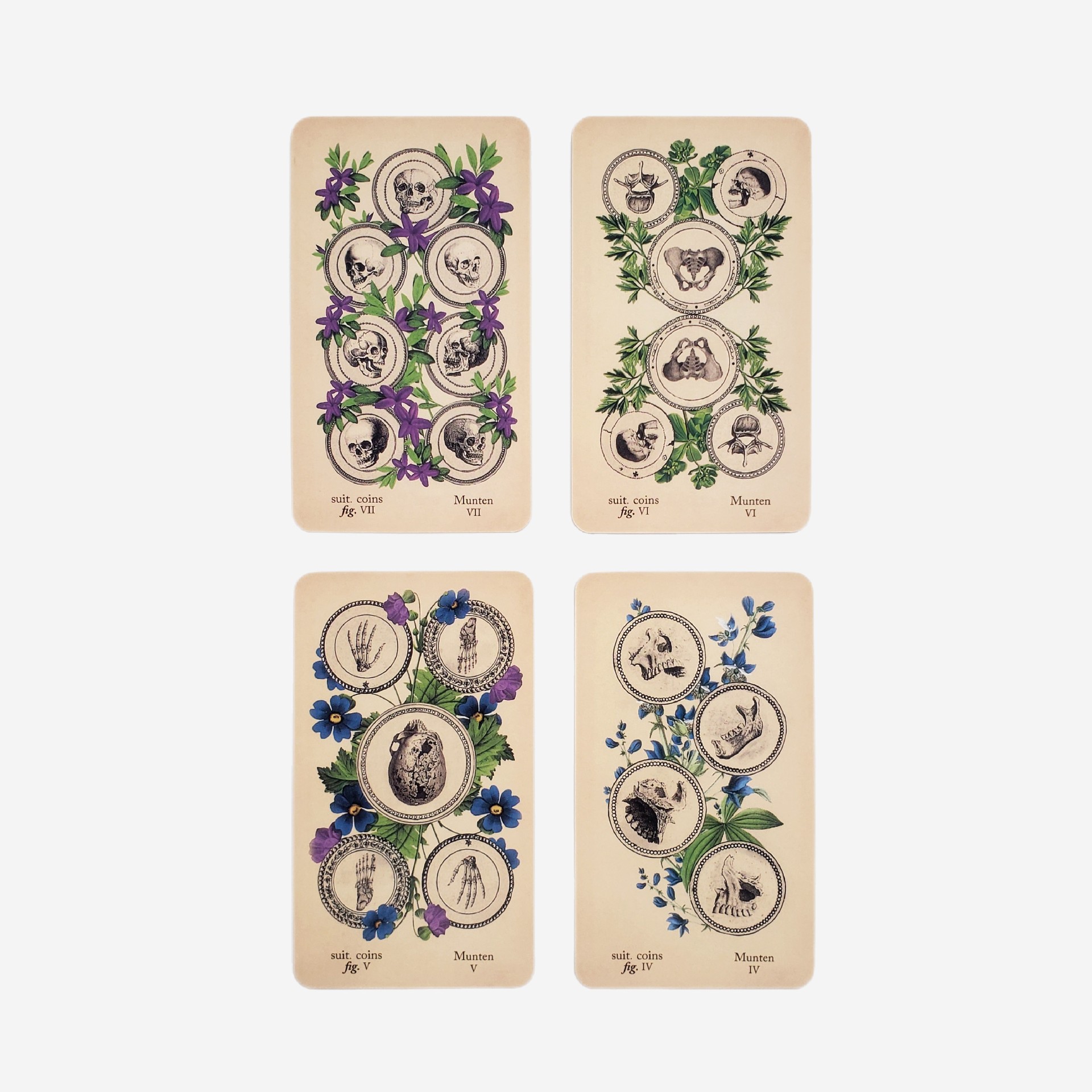 The Antique Anatomy Tarot Deck - Classic Divination Party Game_voghion.com
