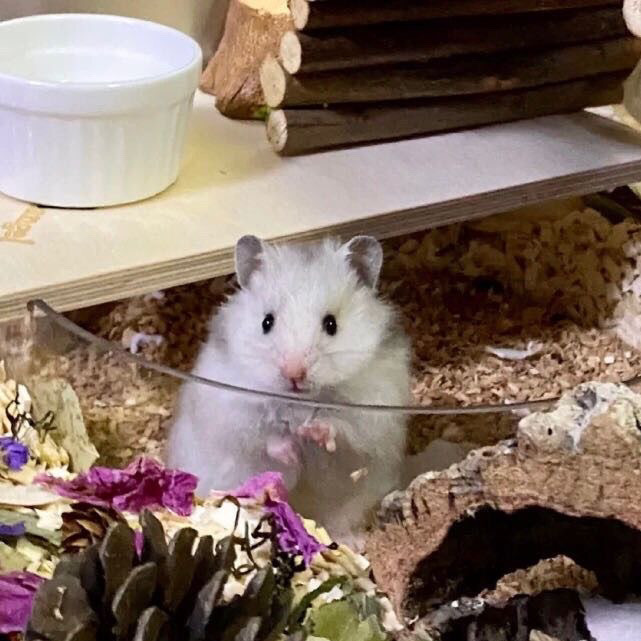 3b85a3a7-35e9-4a4f-a6e1-a9f2af23fbac.jpe