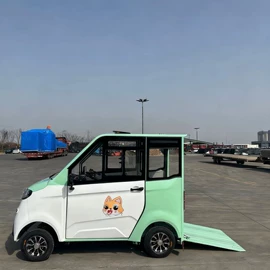 其他电动车;电动代步车;电动三轮车