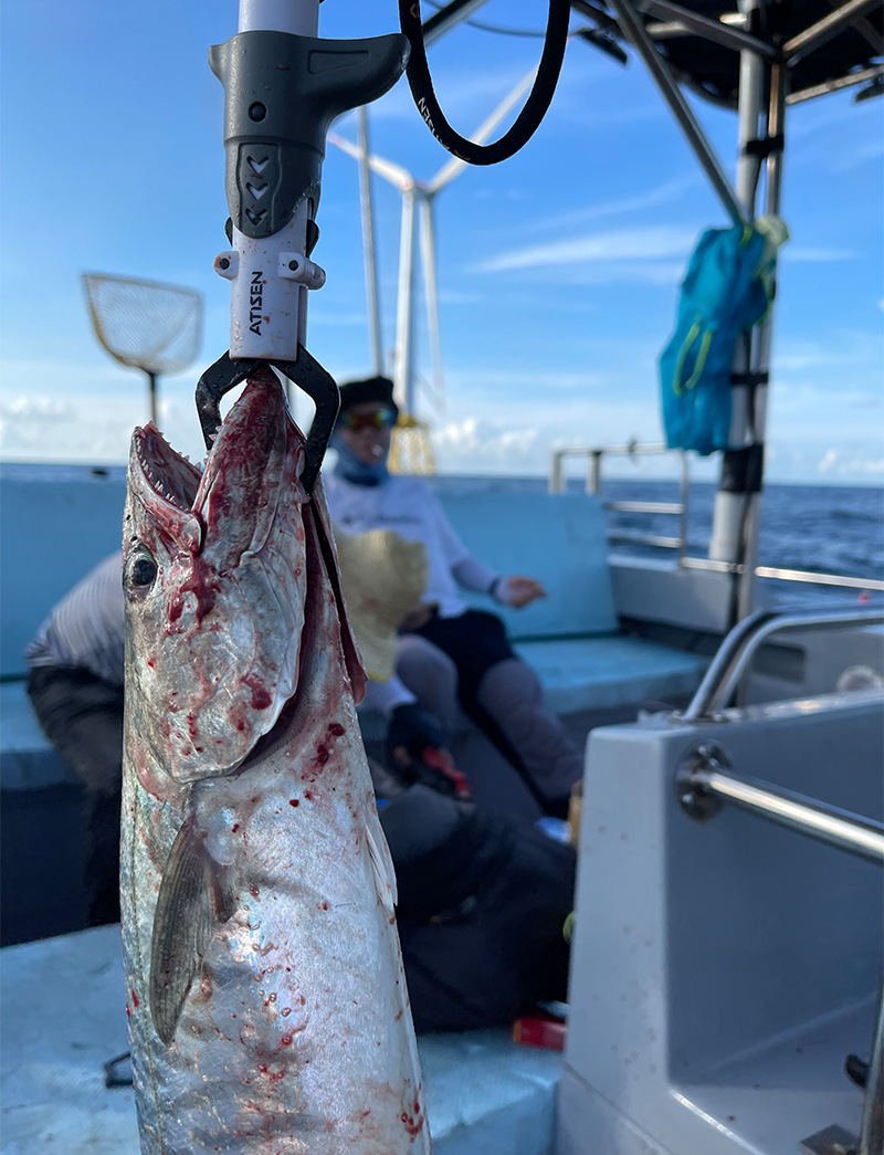 Kit d'outils de pêche 3 pièces avec pince et décrocheur_voghion.com