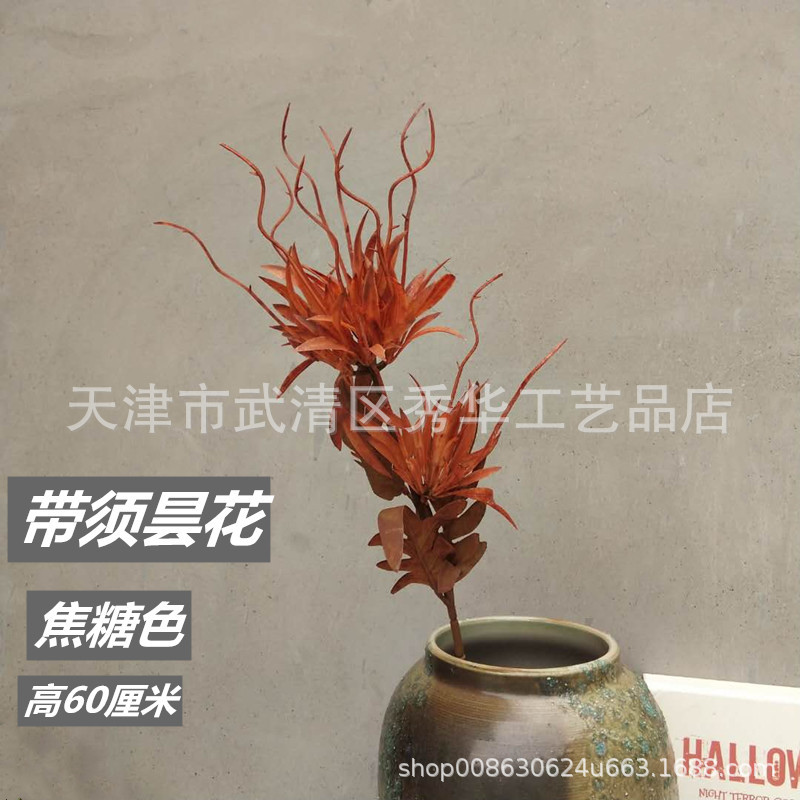 수염과 epiphyllum
